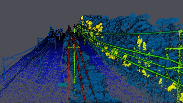 Distribution lines running through dense tree cover